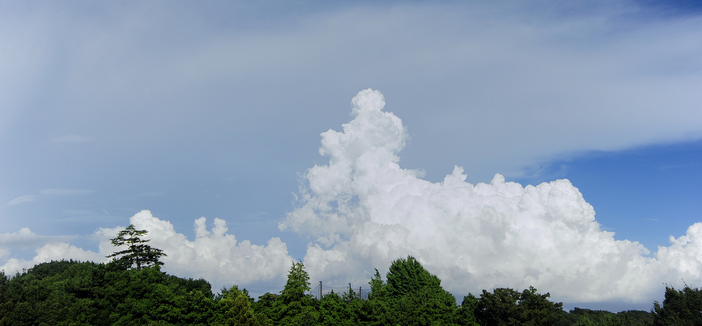 見はるかす鎮守の杜